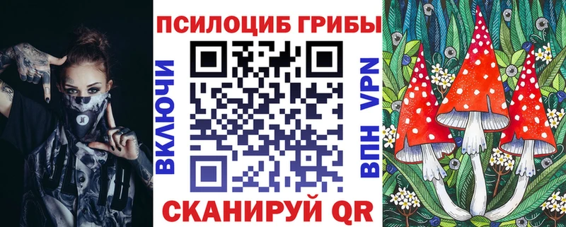 купить наркоту Вельск Галлюциногенные грибы Cubensis