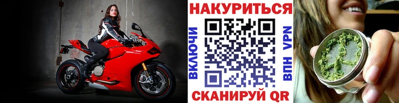 Канабис OG Kush  Вельск 